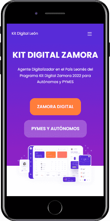 Kit Digital Zamora