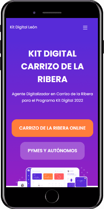 Kit Digital Carrizo de la Ribera