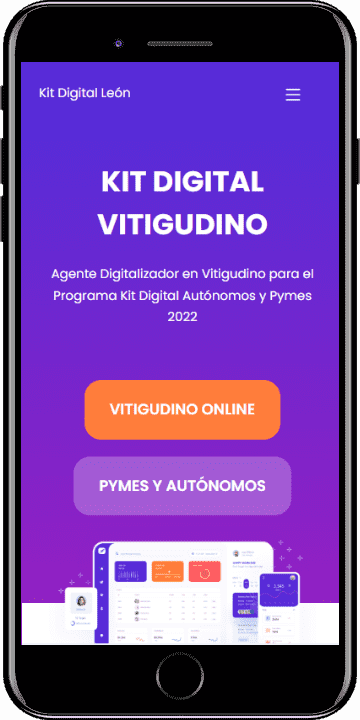 Kit Digital Vitigudino