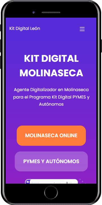 Kit Digital Molinaseca