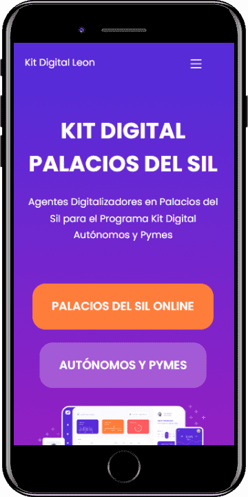 Kit Digital Palacios del Sil
